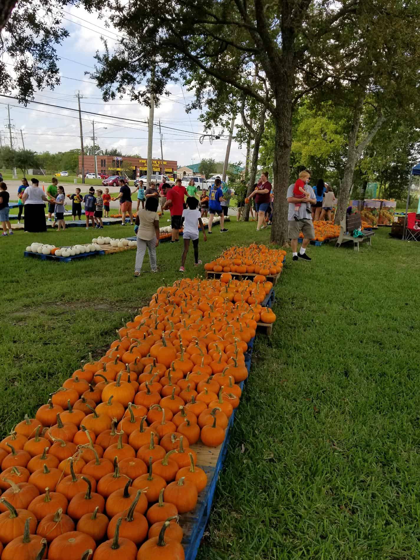 St. Andrew’s 20th Annual Pumpkin Patch in Pearland