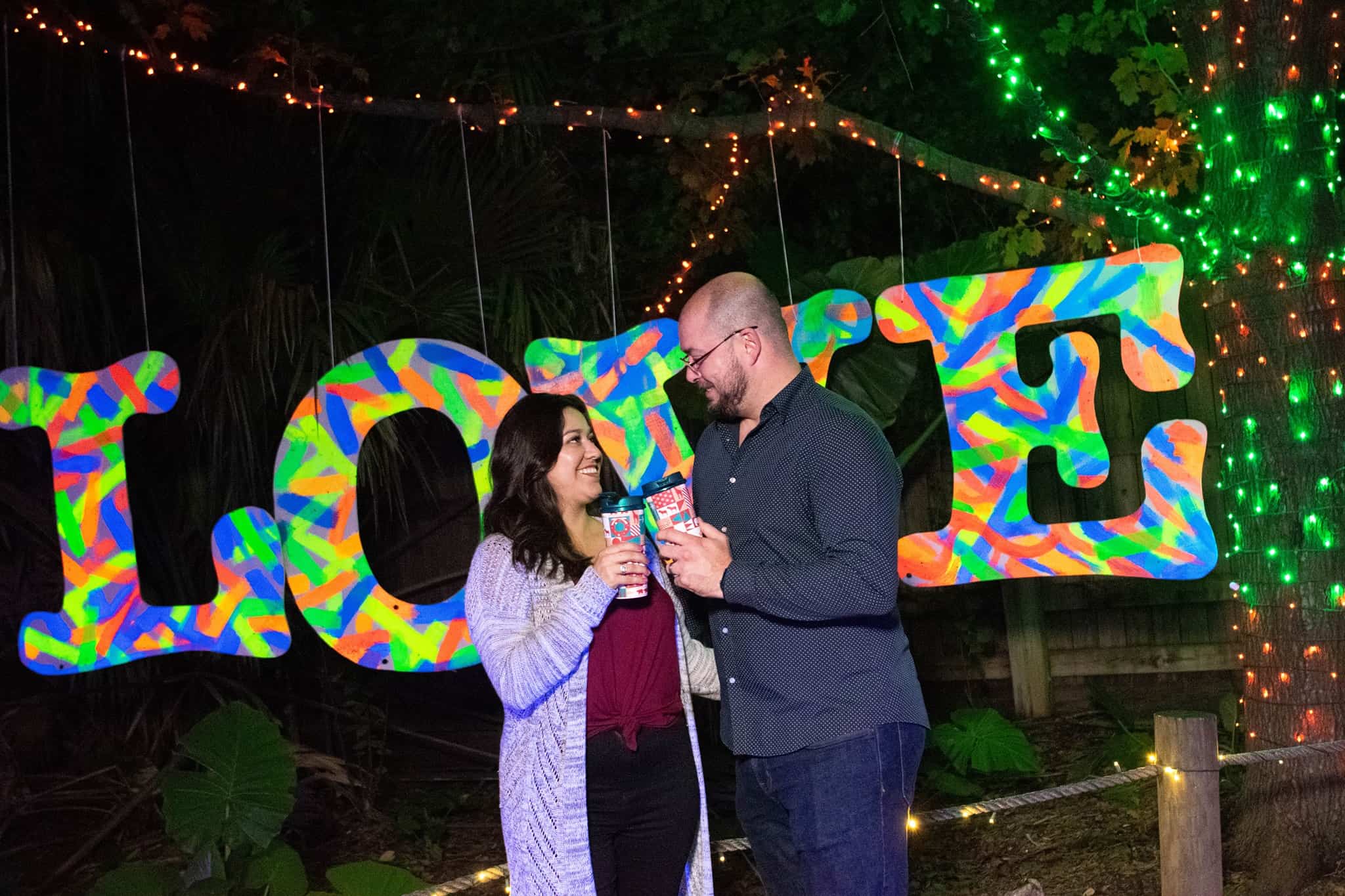 Houston Zoo Lights
